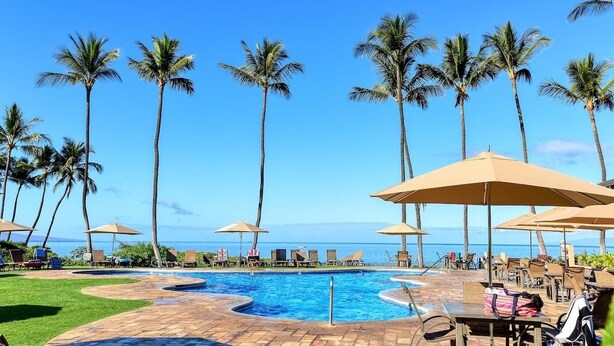 Un espace aménagé au bord de la piscine, avec des chaises longues et des parasols, des palmiers et une vue sur l’océan.