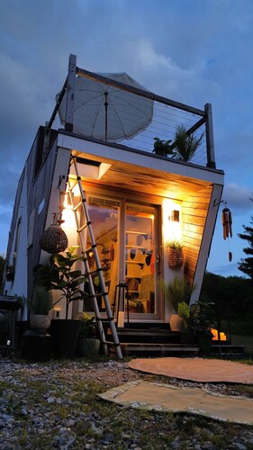 The Coziest Tiny Home with Mini Cows & Horses!