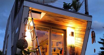 The Coziest Tiny Home with Mini Cows & Horses!