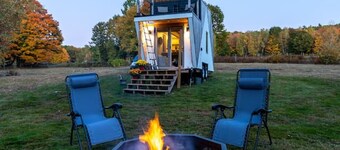 The Coziest Tiny Home with Mini Cows & Horses!