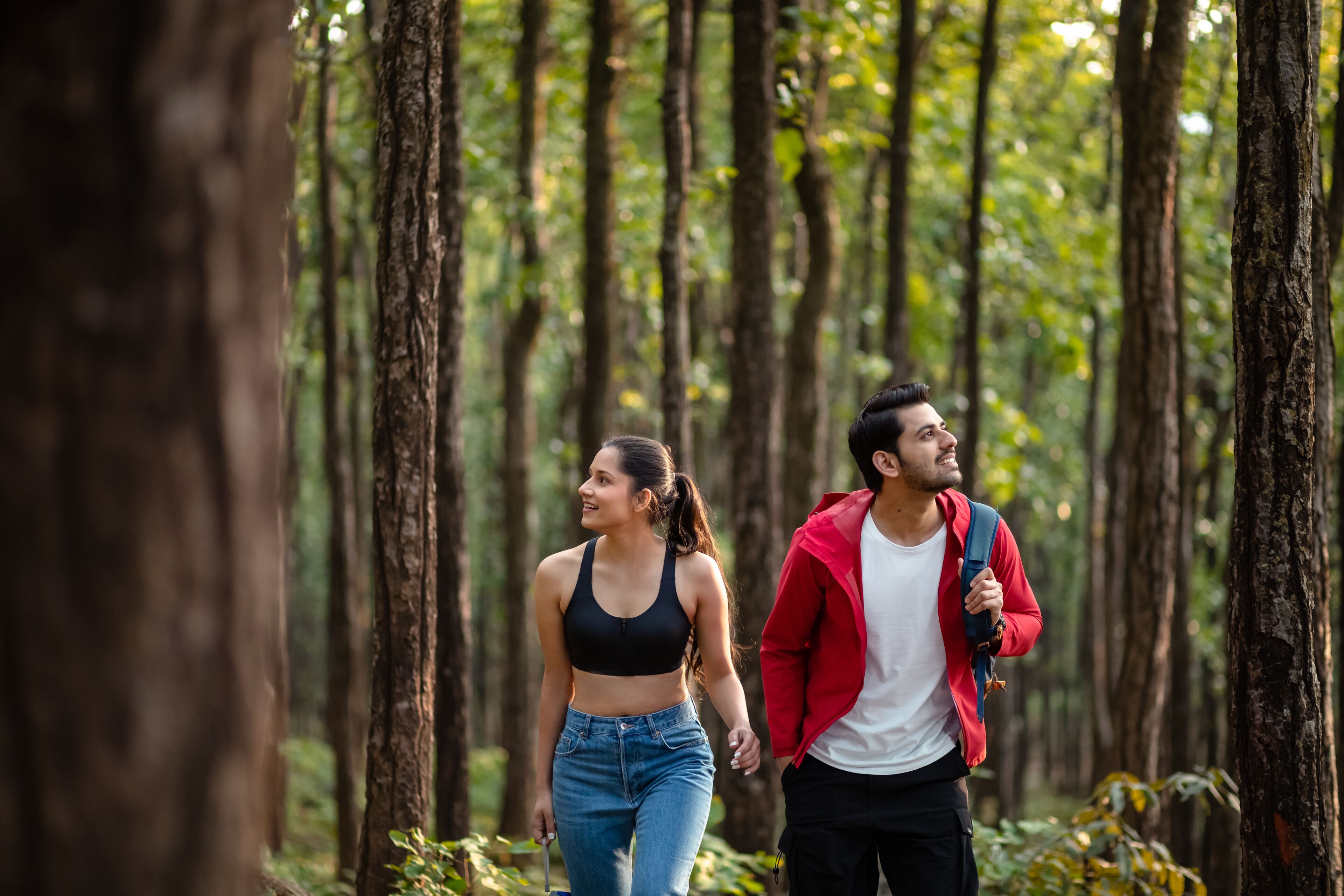 Two people walking in a forested area.