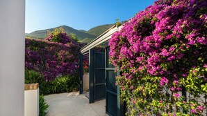 Een pad dat leidt naar een gebouw met een metalen poort, omgeven door weelderige paarse bougainvillea.