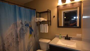 Combined shower/bathtub, hair dryer, towels, toilet paper