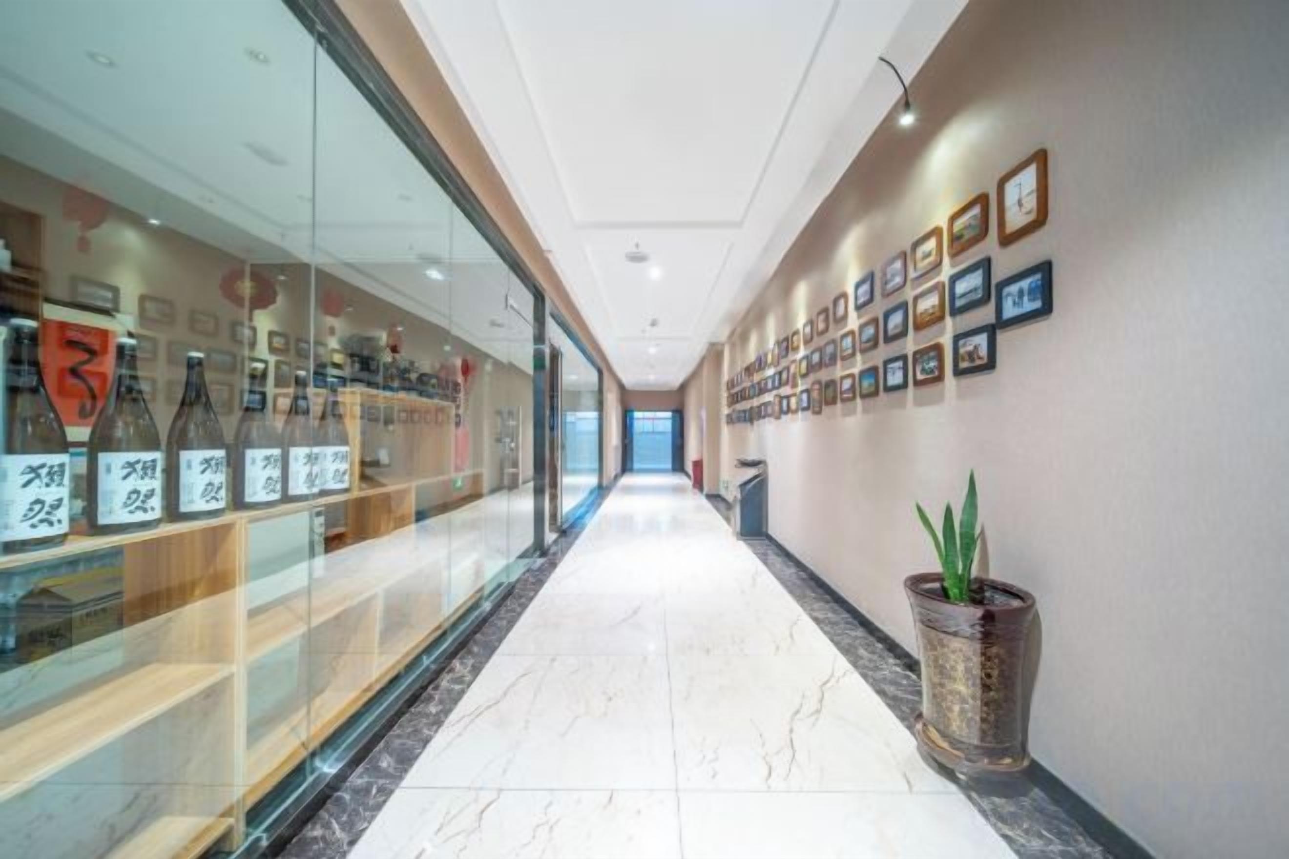 A hotel corridor with framed pictures on the wall, a glass display case with bottles, and a potted plant.
