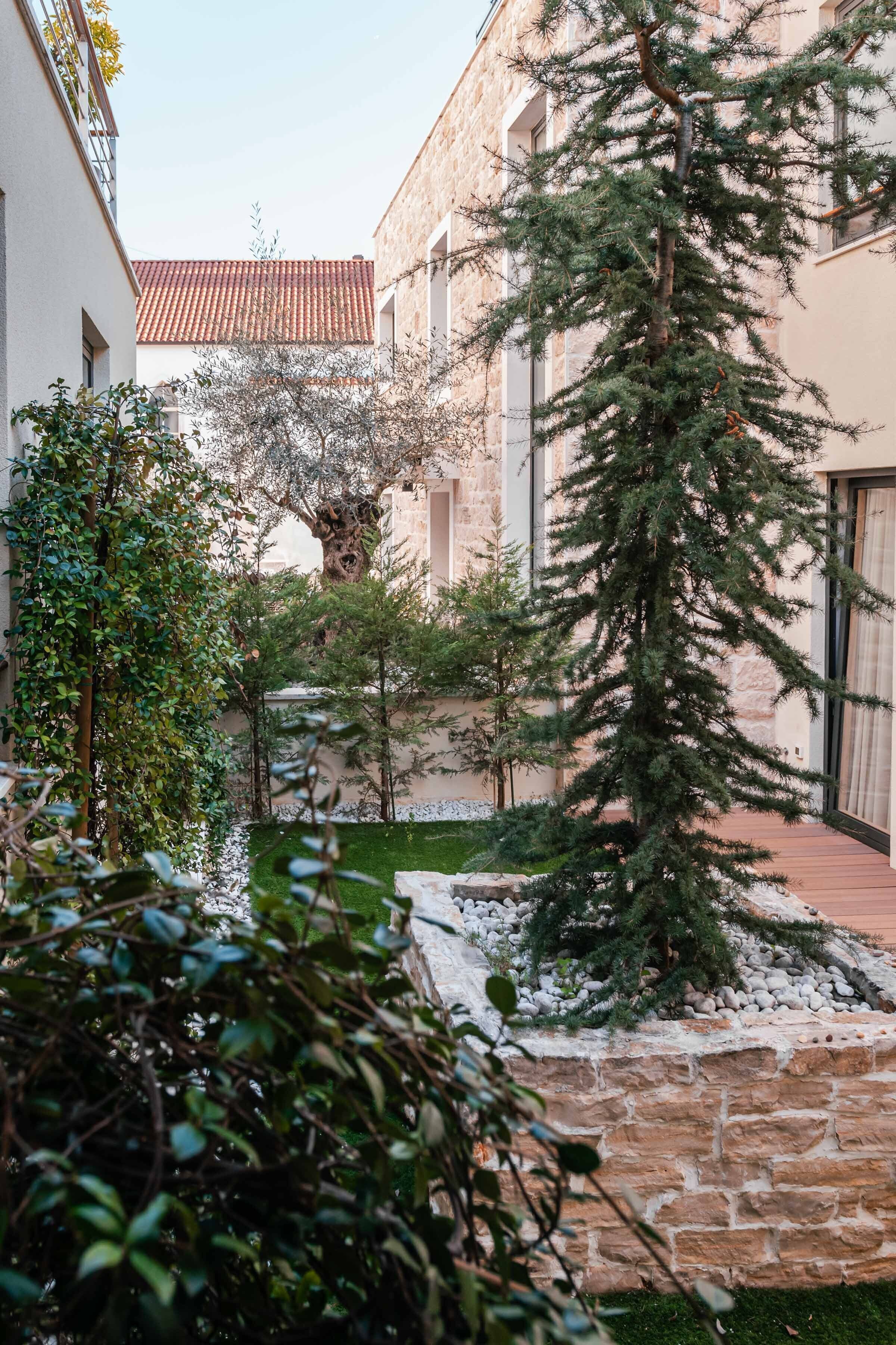 A courtyard with stone walls, a large coniferous tree, and a building with a tiled roof.