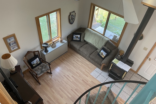 Televisión, chimenea, reproductor de DVD y libros