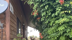 Uma casa de madeira com varanda, plantas em vasos e antena parabólica.