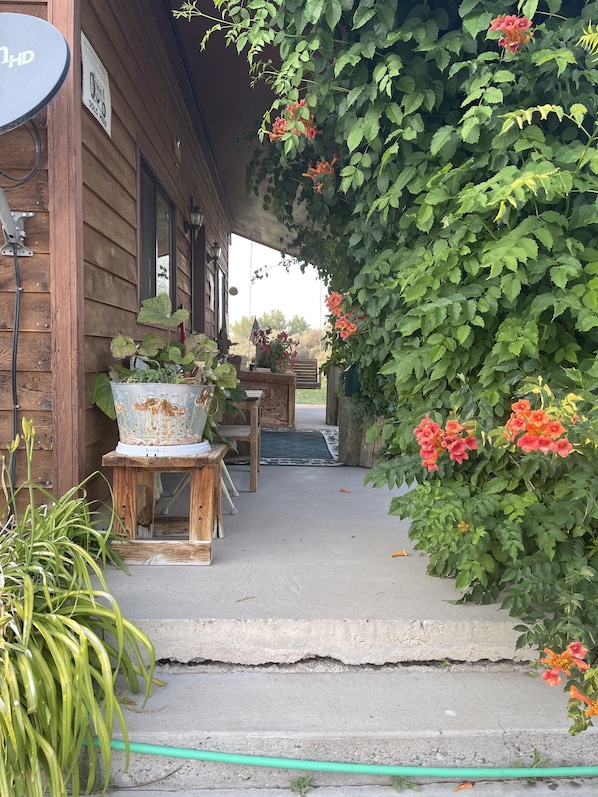 Une maison en bois avec un porche, des plantes en pot et une antenne parabolique.