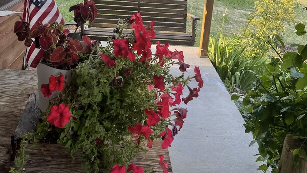 Um alpendre com um banco de madeira, um vaso com flores vermelhas e uma bandeira americana.