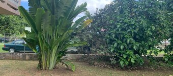 acogedor apartamento, encuentra la tranquilidad que necesitas.