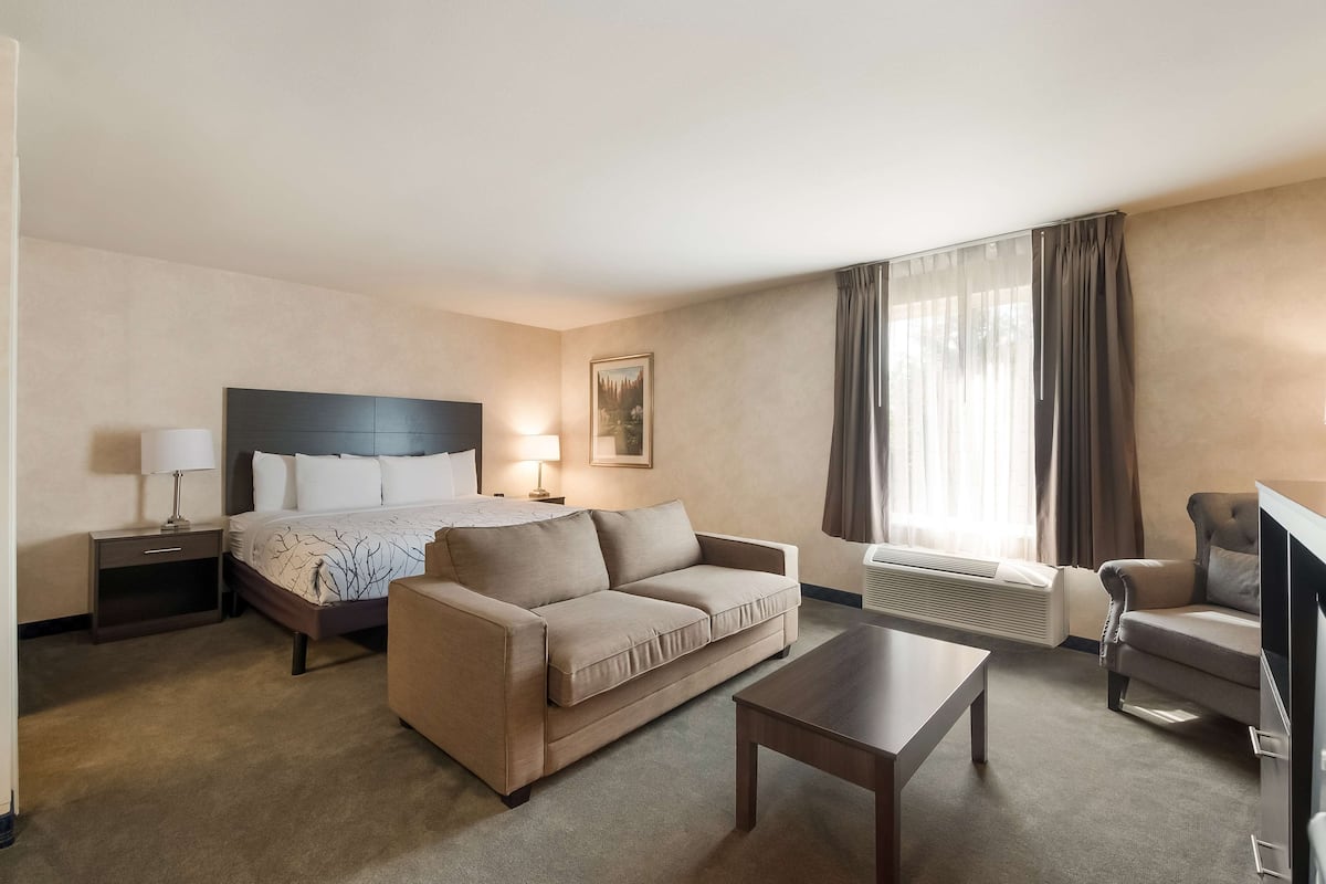 Suite - 1 kingsize-seng - ikke-ryger - køleskab og mikrobølgeovn (with Sofabed) | 1 soveværelse, premium-sengetøj, skrivebord
