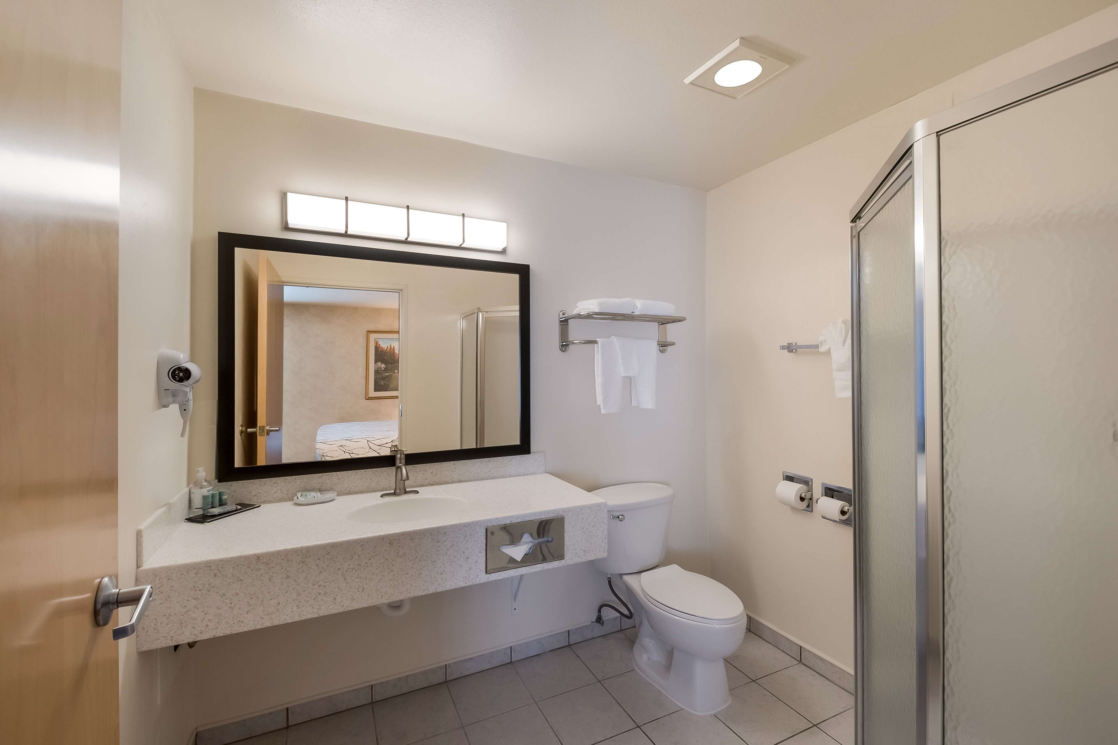 A modern bathroom with a sink, mirror, toilet, and shower.
