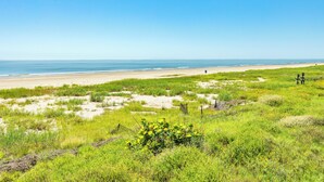 A beach with green vegetation and a clear sky. - Updated Pet Friendly Beachfront Home w/ Open Plan, Equipped Kitchen, Free Wifi (Galveston)