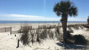 A beach with a palm tree, sand dunes, and a wooden fence. - Poolside Beach Villa 2 bed 2 & one half bath-Pet Friendly (Hilton Head Island)