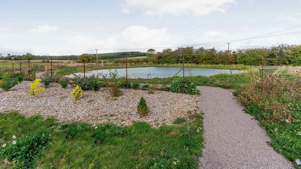 A gravel path leading to a body of water, surrounded by greenery and a fence.