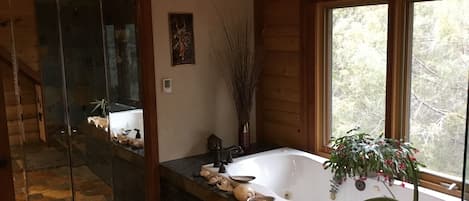 Combined shower/tub, jetted tub, hair dryer, towels