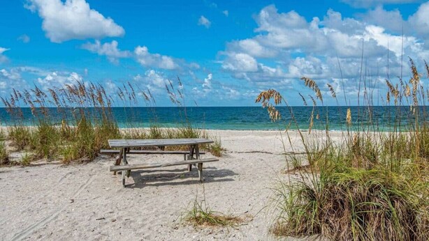 A beach with a wooden bench and tall grasses. - Atlantic View Heated Pool/Spa/Firepit/Beach/Golf/Sleeps 12 (St. Augustine)
