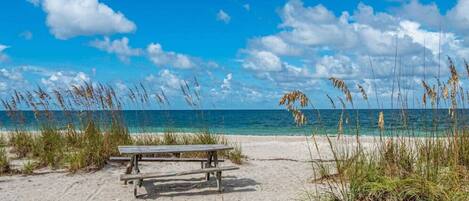 بالقرب من الشاطئ، مناشف للشاطئ