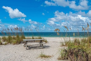 A beach with a wooden bench and tall grasses. - Atlantic View Heated Pool/Spa/Firepit/Beach/Golf/Sleeps 12 (St. Augustine)