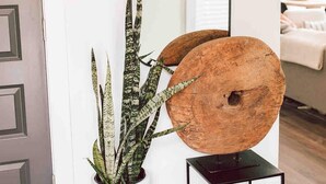 A potted plant with long, striped leaves next to a mirror with a wooden base. - Premium 3BR Home by MHM Luxury Properties (Athens)