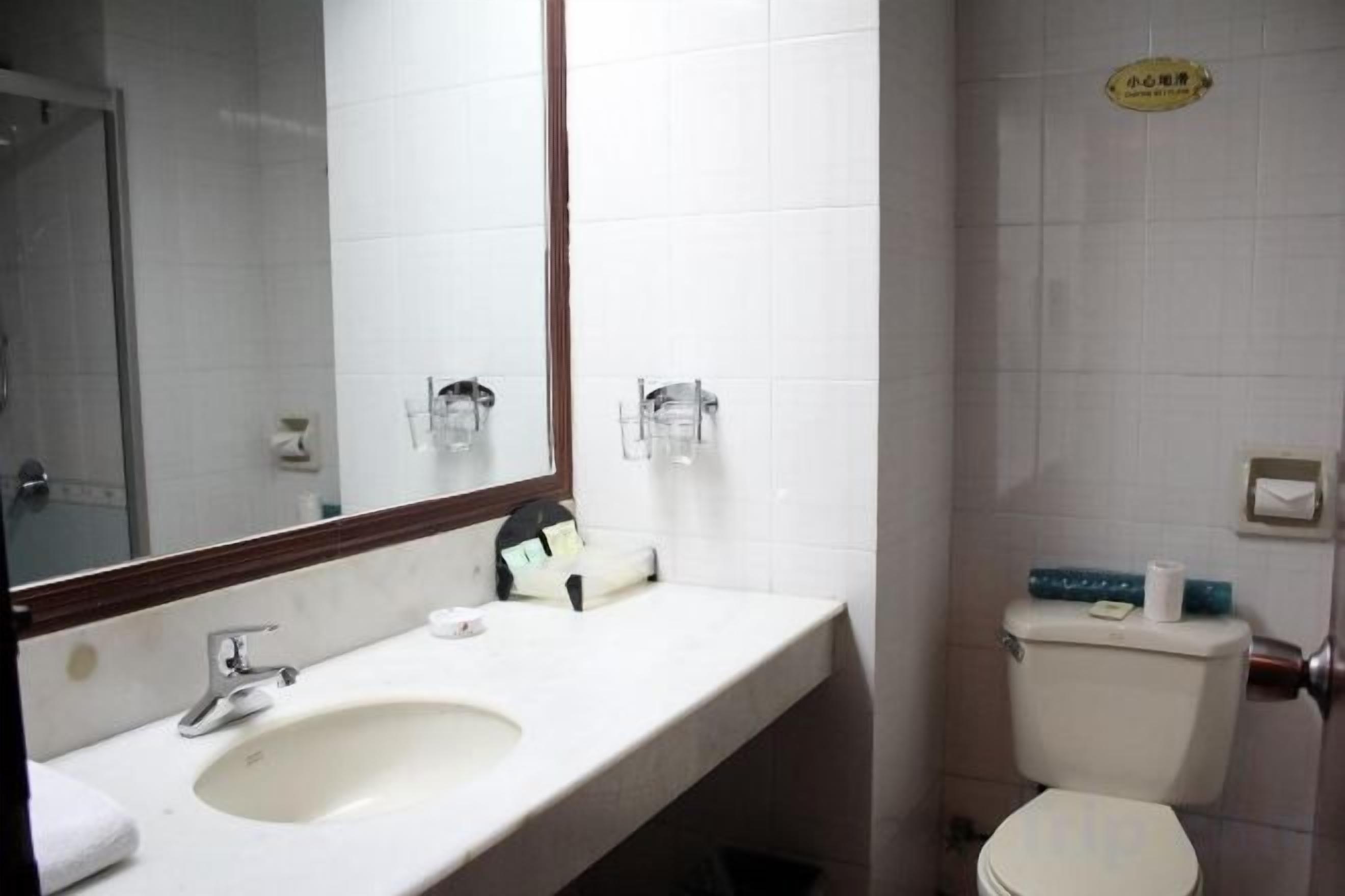 Un baño con lavamanos, espejo, inodoro y toallero.