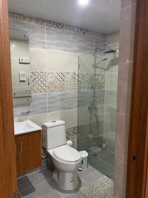 Combined shower/bathtub, towels, soap, toilet paper - House (Santiago De Los Caballeros)