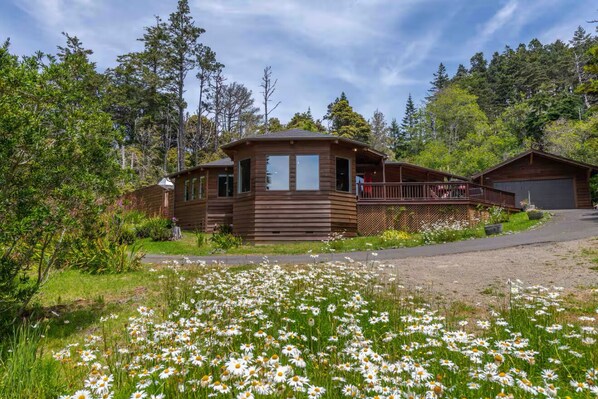 Eine Hütte mit einer Terrasse, umgeben von Wald und einem Feld voller Margeriten.
