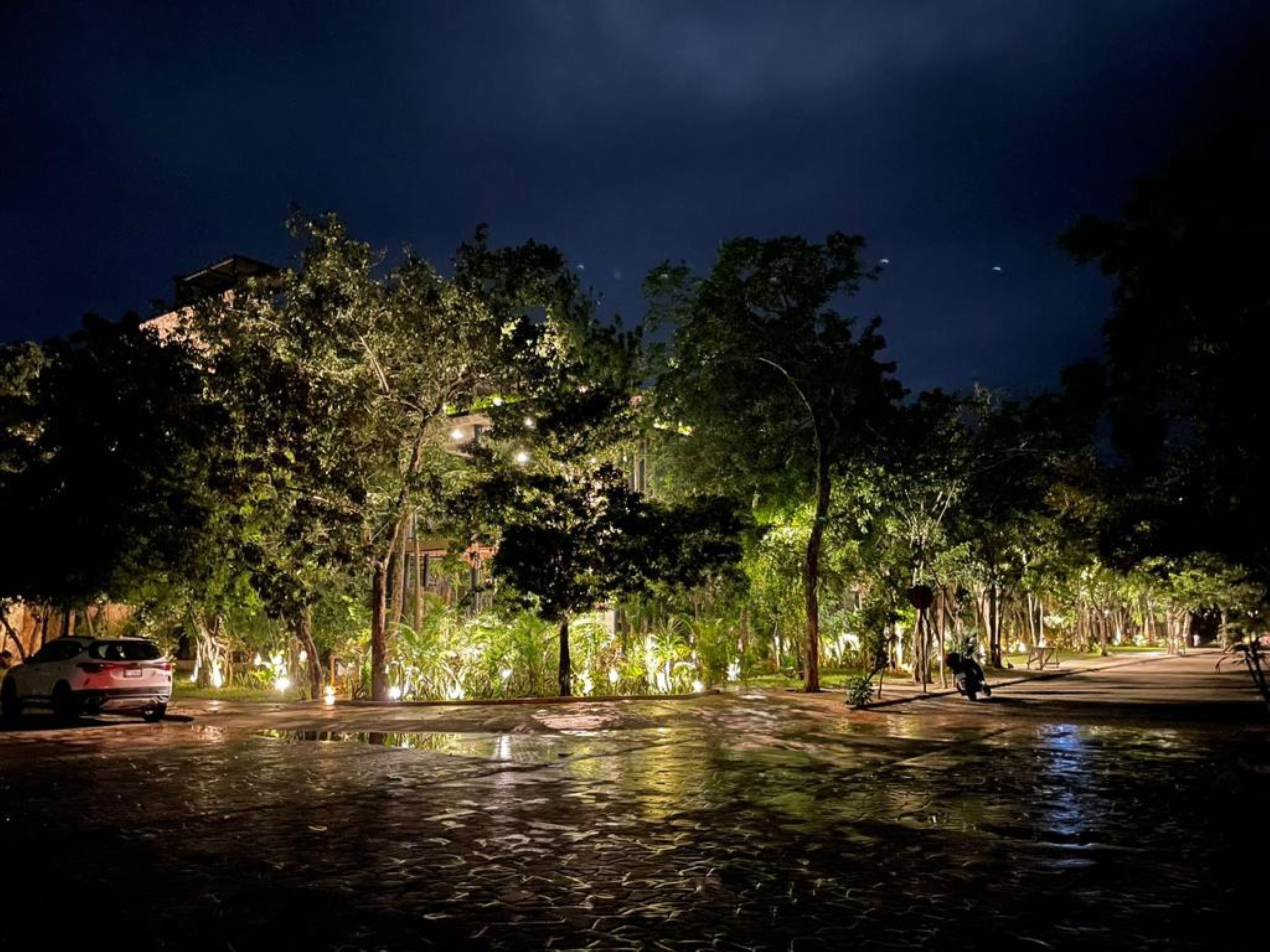 A nighttime outdoor area with a paved surface, trees, and street lamps.