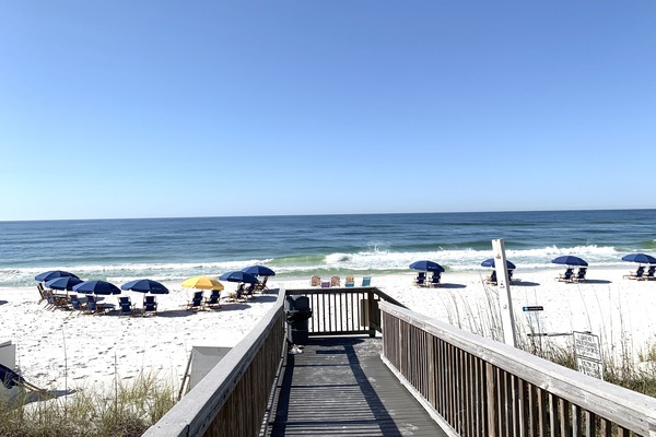 En la playa y camastros