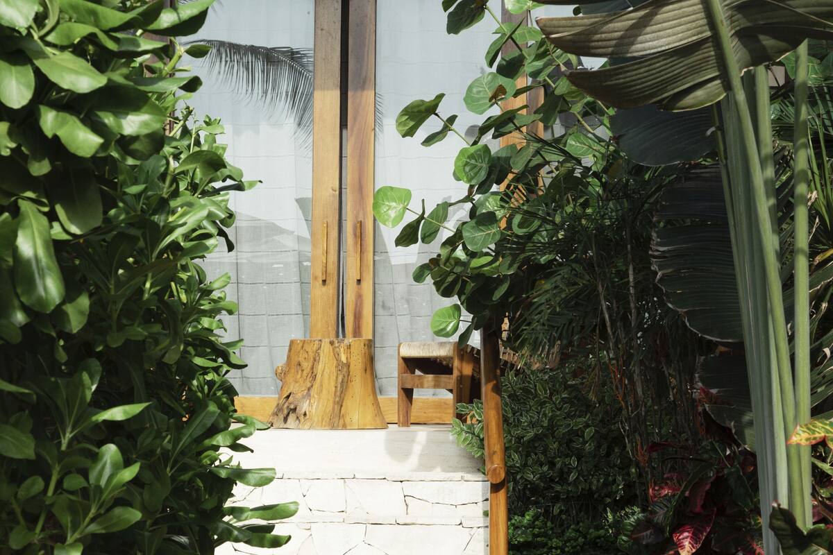 Un banc en bois se trouve dans un jardin, le long d’un chemin pavé de pierres, entouré d’une végétation luxuriante et à proximité d’une grande fenêtre offrant une vue sur le ciel.
