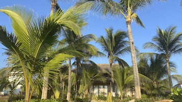 VILLA DELUXE WITH POOL OCEANFRONT | 海灘/海景