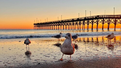 Oak Island Beach House -- Sand, Sun, and Fun Just Steps Away!!