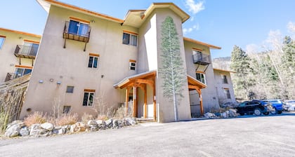 Fantastic condo close to skiing with fireplace, gym, Ping-Pong - Snowbirds okay