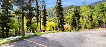 Fantastic condo close to skiing with fireplace, gym, Ping-Pong - Snowbirds okay