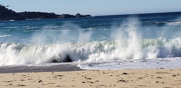 Una spiaggia nelle vicinanze, lettini da mare