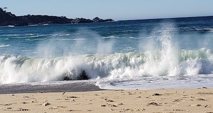 FEELS LIKE HOME IN CARMEL NEAR ATTRACTIONS