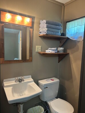 Shower, hair dryer, towels, soap -  The Bunny Burrow in the quaint village of Aurora  (Hardin)