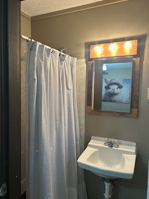 Shower, hair dryer, towels, soap - The Bunny Burrow in the quaint village of Aurora (Hardin)