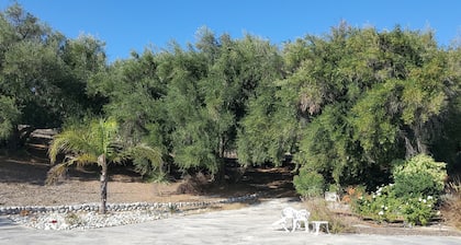 Equestrian estate on 6 acres with olive orchard