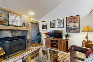 TV, fireplace, books