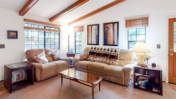 Télévision, cheminée, lecteur de DVD, livres