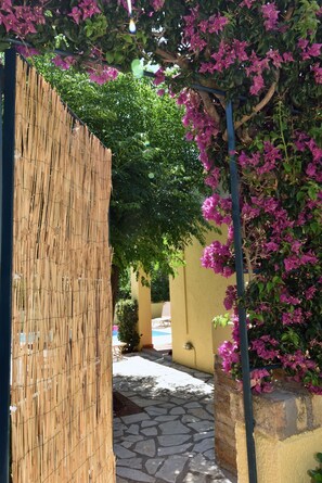 Uma trilha de pedra estreita que leva a um edifício amarelo, com uma cerca de bambu de um lado e uma planta florida do outro.