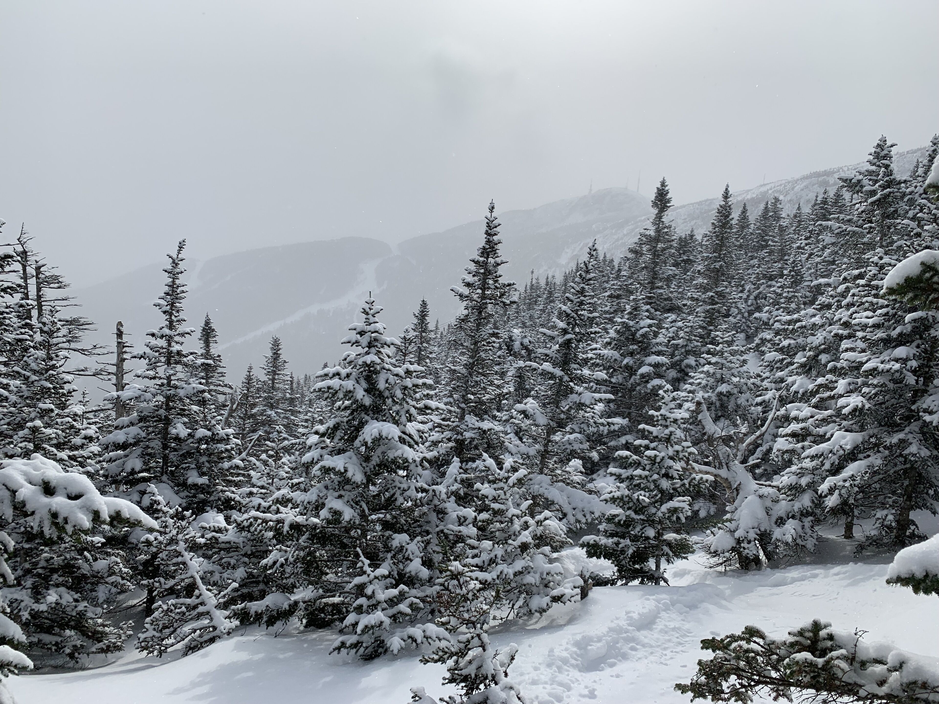 滑雪板