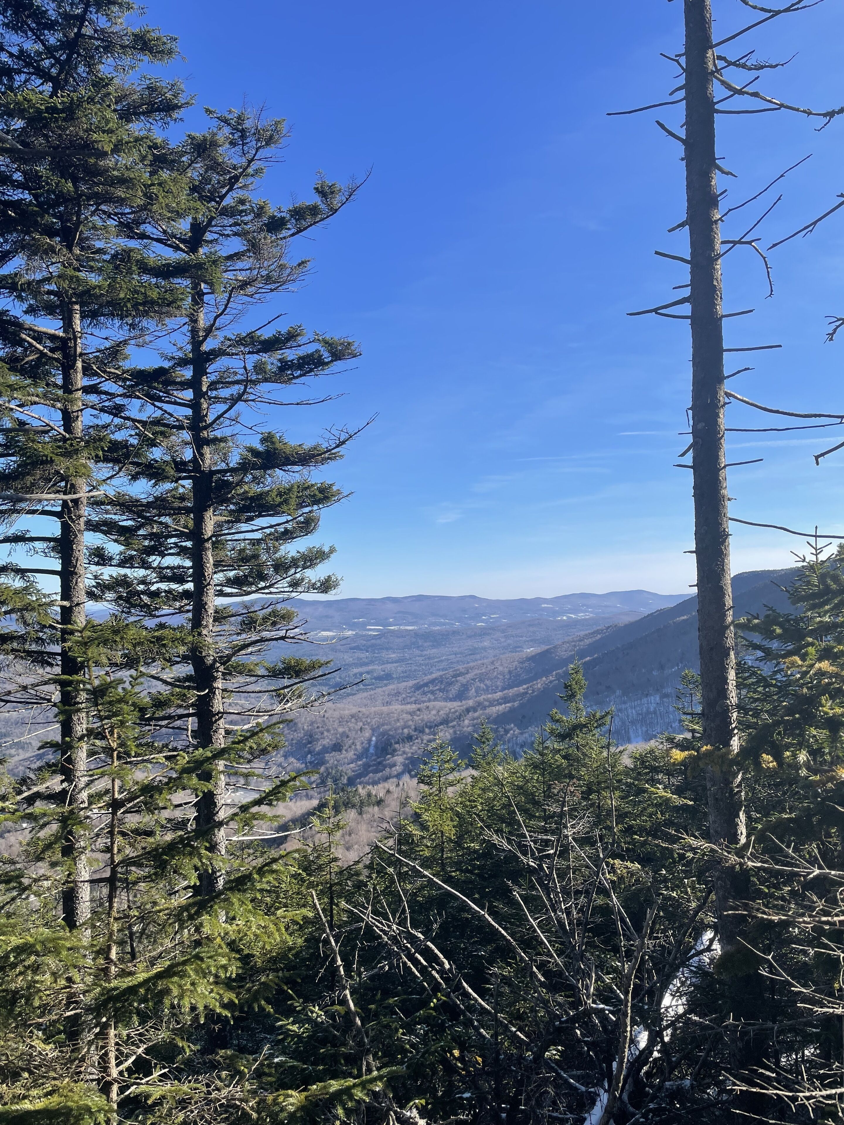 Un paisaje montañoso con bosques densos y cielos azul cristalino.