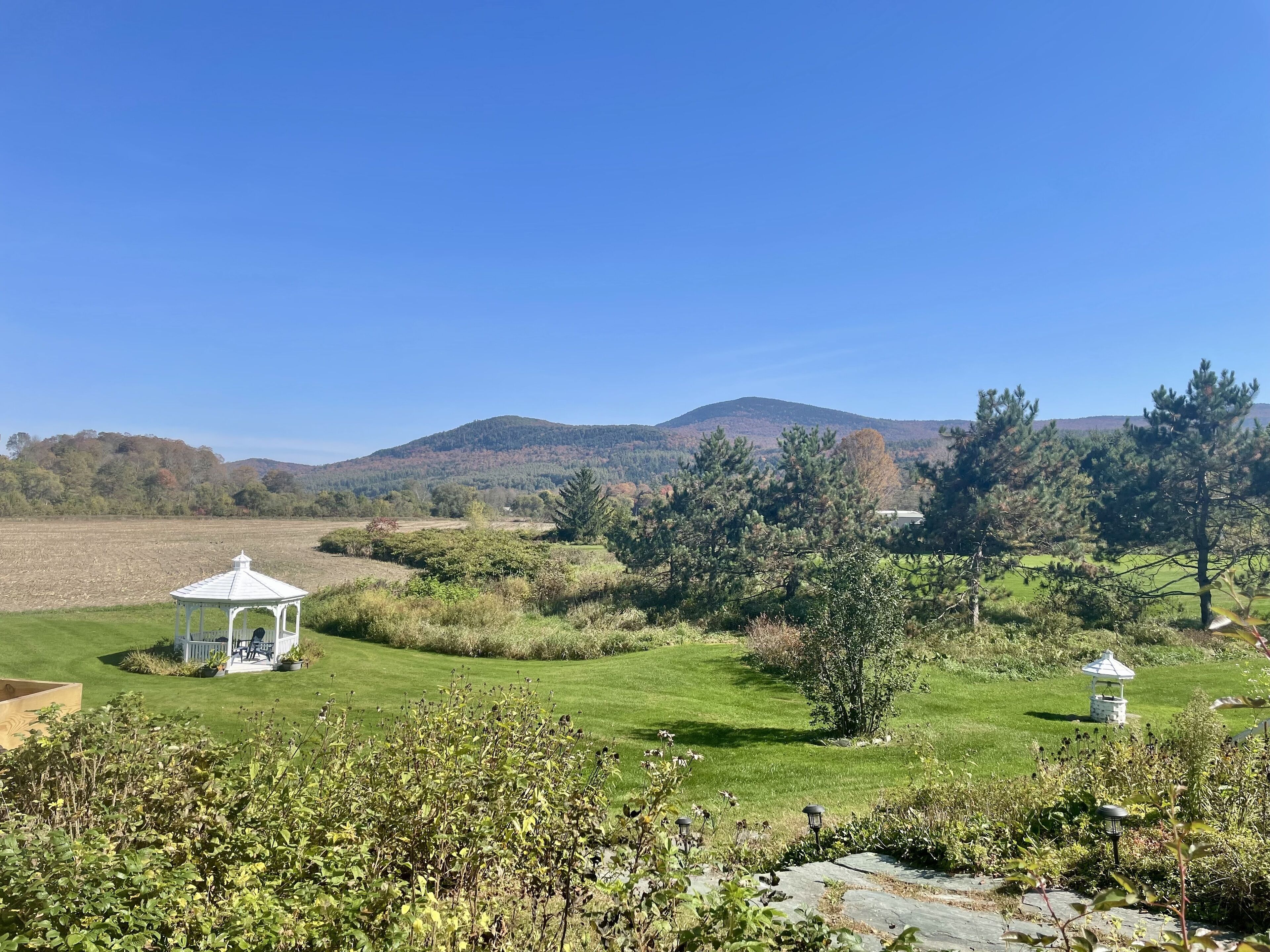 A gazebo in a grassy field with a mountain in the background.