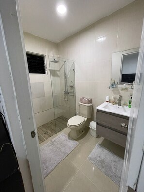 Combined shower/tub, bidet
