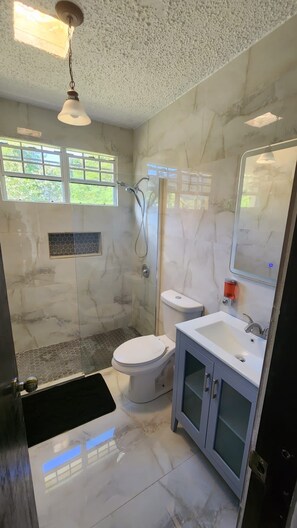 Badewanne, Haartrockner, Handtücher, Seife