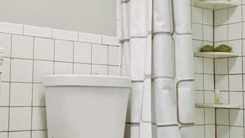 Combined shower/tub, hair dryer, towels