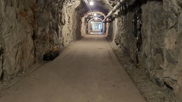 Apartment | Interior