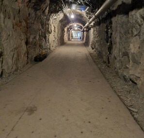 Miscellaneous - Cave Retreat - Sleeps 2 - Pets - Parking - Wifi (Luleå)